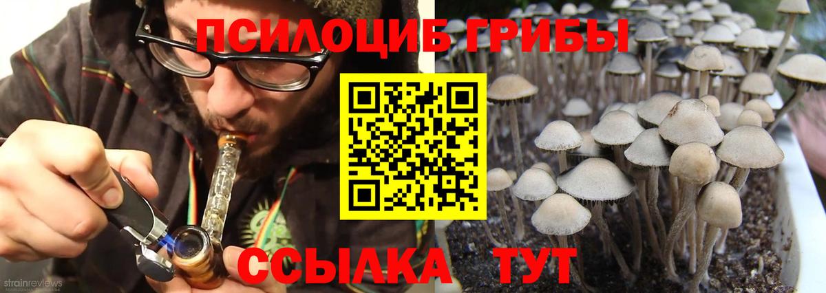 Кореновск  Галлюциногенные грибы Psilocybine cubensis  продажа наркотиков  Галлюциногенные грибы ЛСД  Вход с VPN 