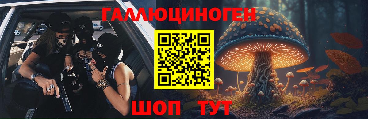 Псилоцибиновые грибы Psilocybe Кореновск
